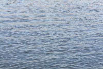 自然水纹理材质