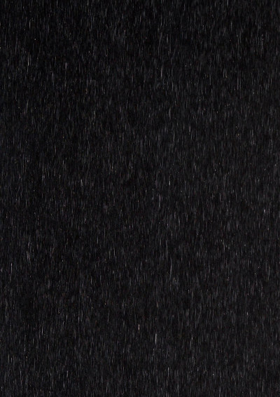 深化木纹木饰面(24)