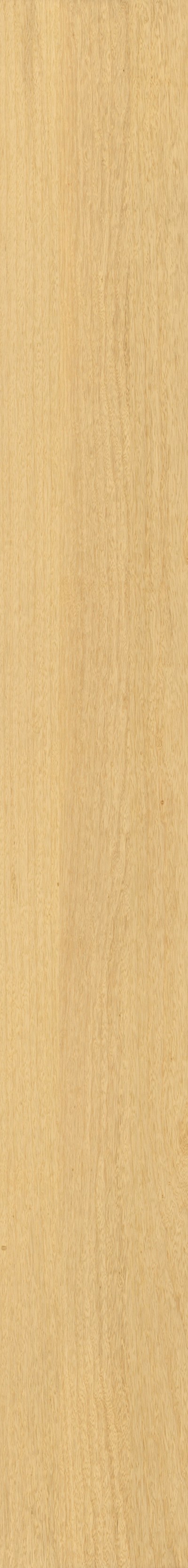 条形木纹(416)