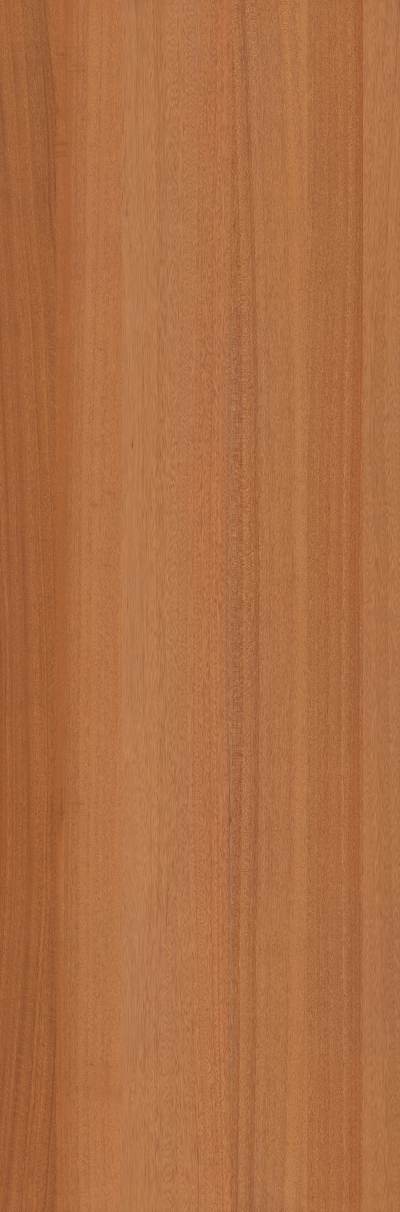 条形木纹(438)