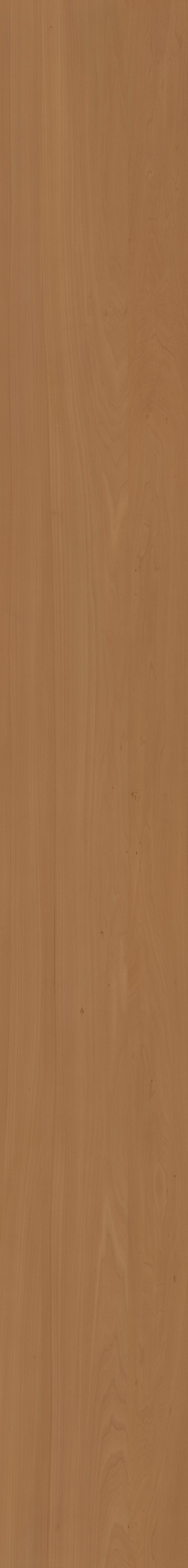 条形木纹(457)