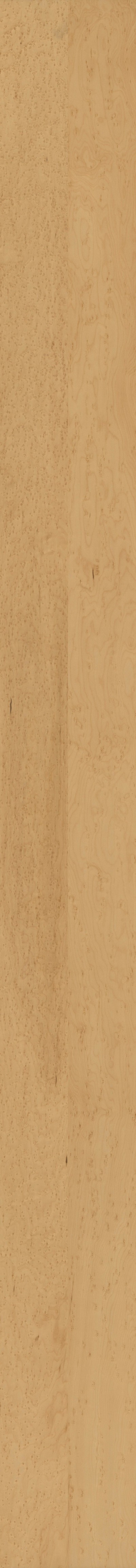 条形木纹(461)