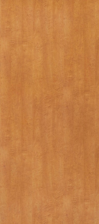 条形木纹(608)