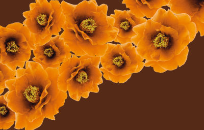 现代植物图案壁纸