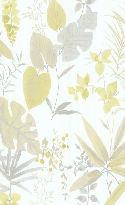 现代植物图案壁纸