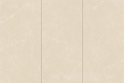 岩板大理石白玉兰(2)