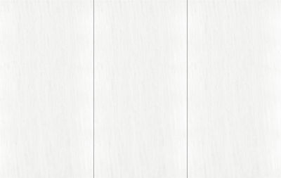 岩板大理石法国木化石(1)