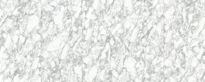 岩板大理石网纹大花白