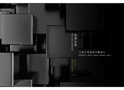 北京世茂IN三里先锋豪宅三套样板PPT设计方案