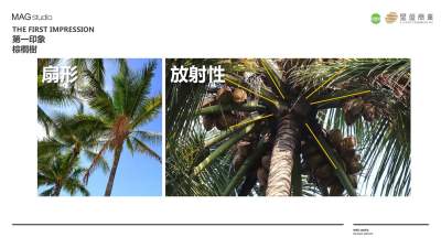 厦门星河COCO购物商场方案设计PPT82页