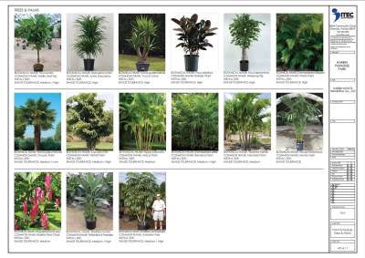 哈尔滨天堂乐园设计意向概念方案设计245页