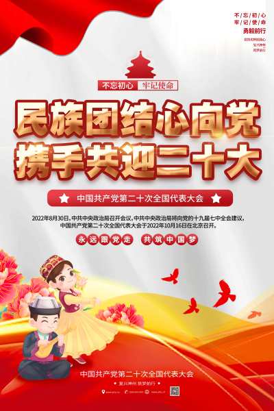 简约民族团结心向党携手共迎二十大党建海报