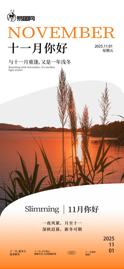橙色11月你好秋季芦苇简约风海报海报模板