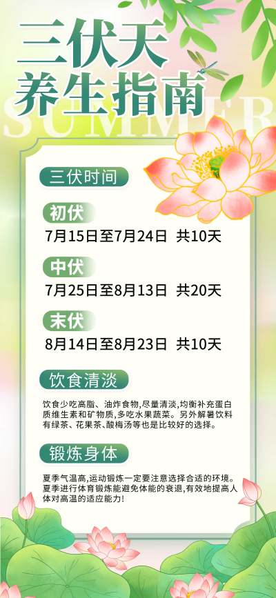 绿黄简约三伏天养生指南长屏海报