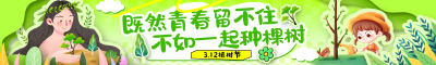 浅绿色剪纸风拼贴风312植树节活动宣传横幅条幅背景