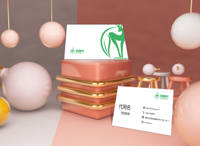 橙粉色现代简约大气创意C4D名片样机