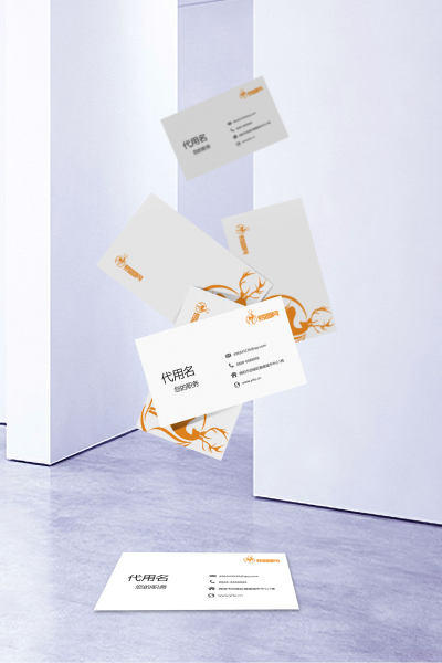 阴影烫金名片样机
