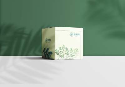 墨绿色礼盒化妆品包装样机设计模板