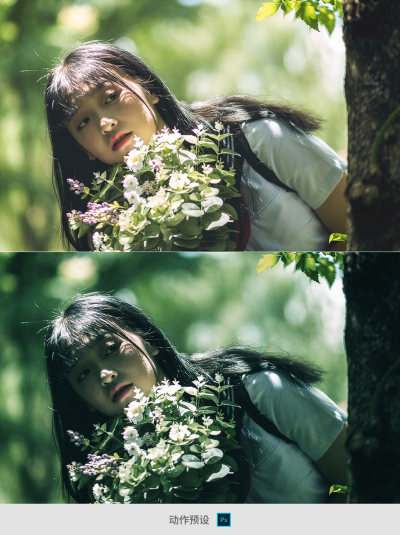 照片森林系绿色动作预设