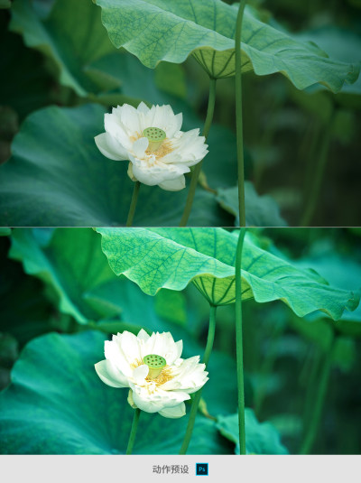 复古硬调动作预设