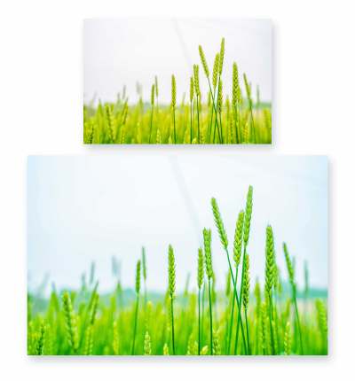 明亮清爽小清新唯美调色预设PS动作