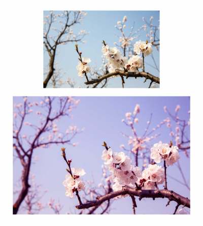 PS动作预设明亮清爽小清新唯美调色预设