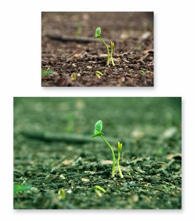 ins通透明亮清新PR调色PS动作预设