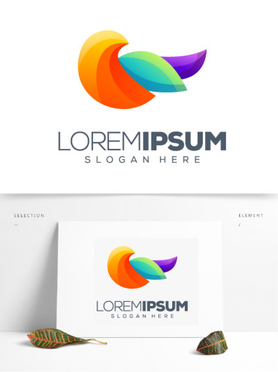 多彩鸟教育培训机构logo