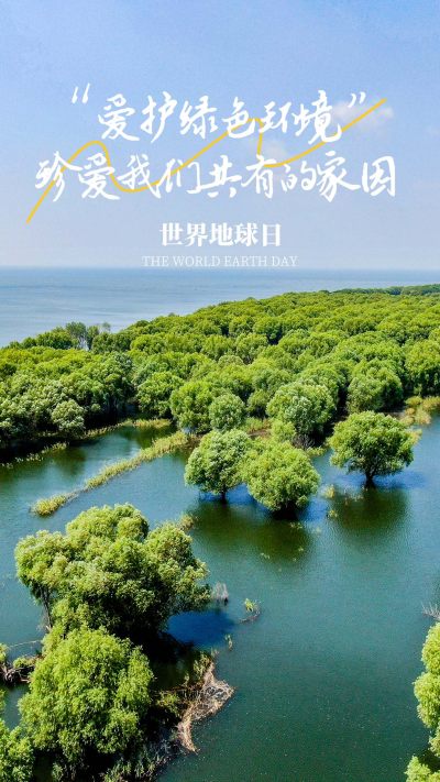 世界地球日摄影公益海报