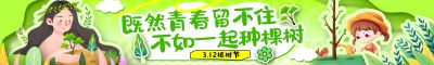 绿色剪纸风拼贴风312植树节活动宣传横幅