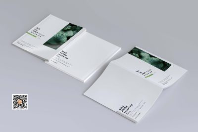 小清新画册展示样机