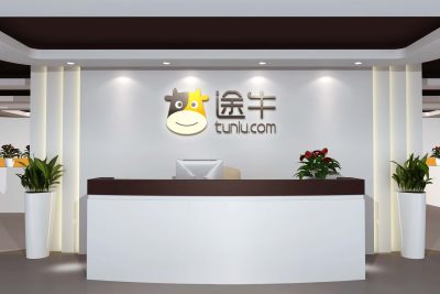 企业形象墙logo样机