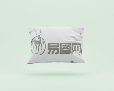 抱枕logo样机效果图