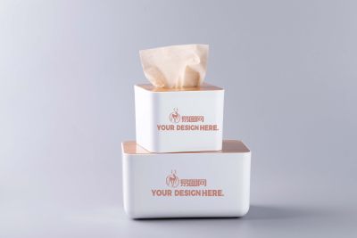 抽纸包装样机贴图效果图