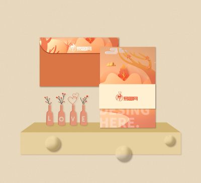 小清新时尚VI提案样机