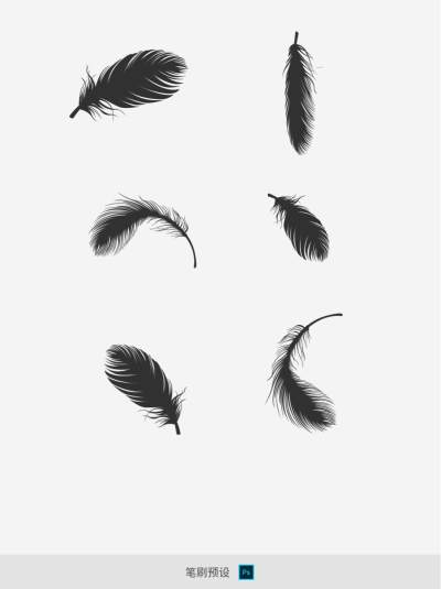 ps羽毛预设笔刷