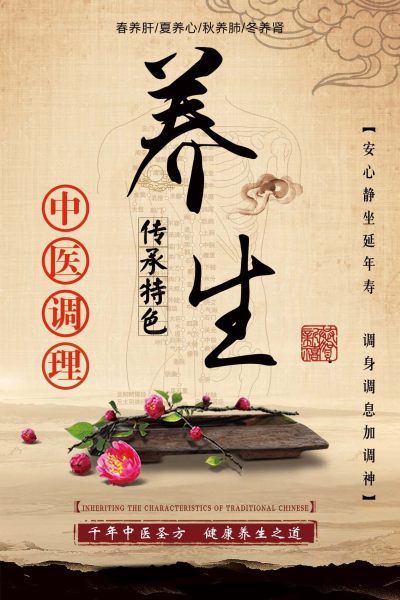 传统养生简约海报
