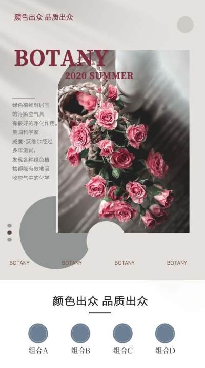 淘宝电商植物盆栽鲜花园艺花详情模板