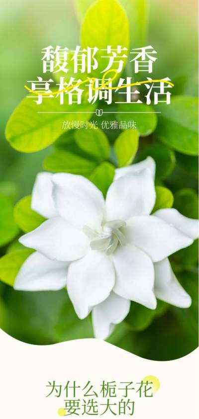 创意简约鲜花园艺详情页描述设计模板