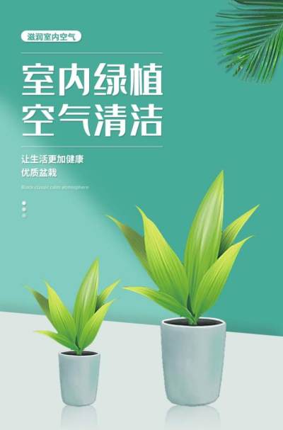 绿植盆栽花卉文艺简约小清新大气详情页