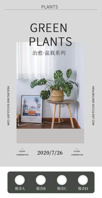 淘宝电商植物盆栽室内绿植空气清晰