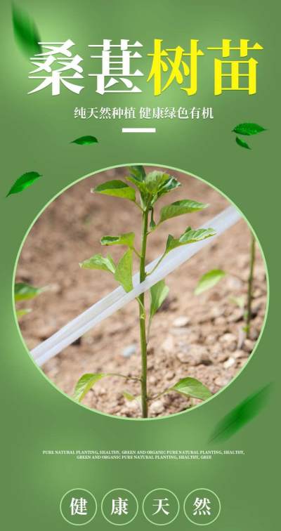 淘宝绿色有机植物精华纯天然营养产品