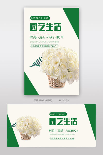 有机植物精华纯天然营养产品