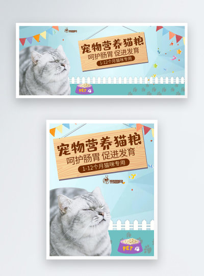 宠物猫粮电商海报