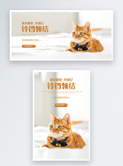 宠物用品铃铛领结电商海报