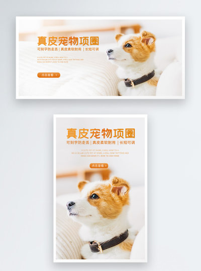 宠物用品宠物项圈电商海报