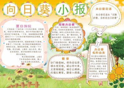 向日葵小报手抄报