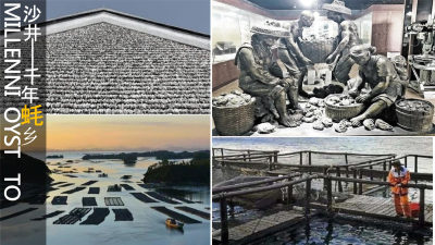 深圳沙井领创广场商业购物中心PPT设计方案