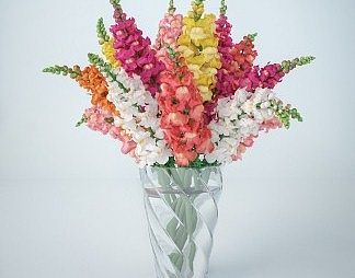 现代花瓶3D模型下载