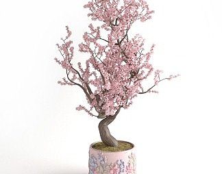 现代盆栽3D模型下载